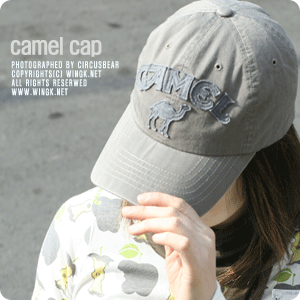 -camel cap-
